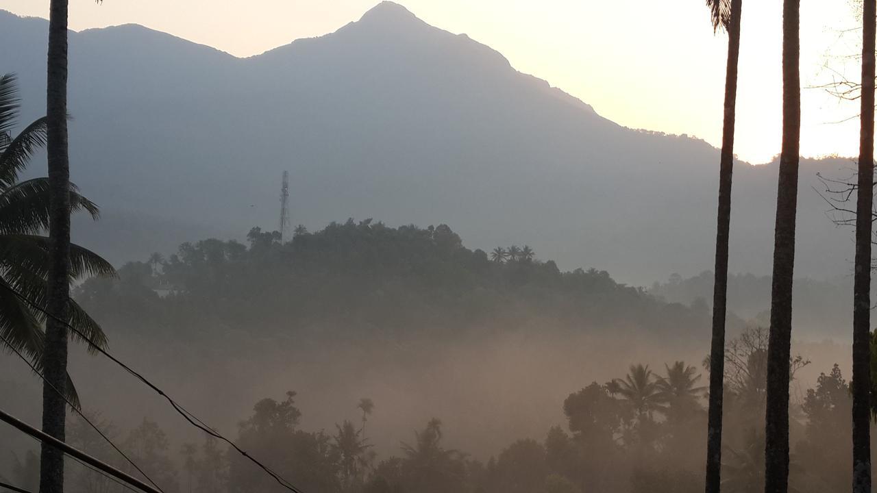 M3 Homes Munnar Bagian luar foto